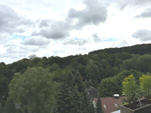 Blick Rückseite