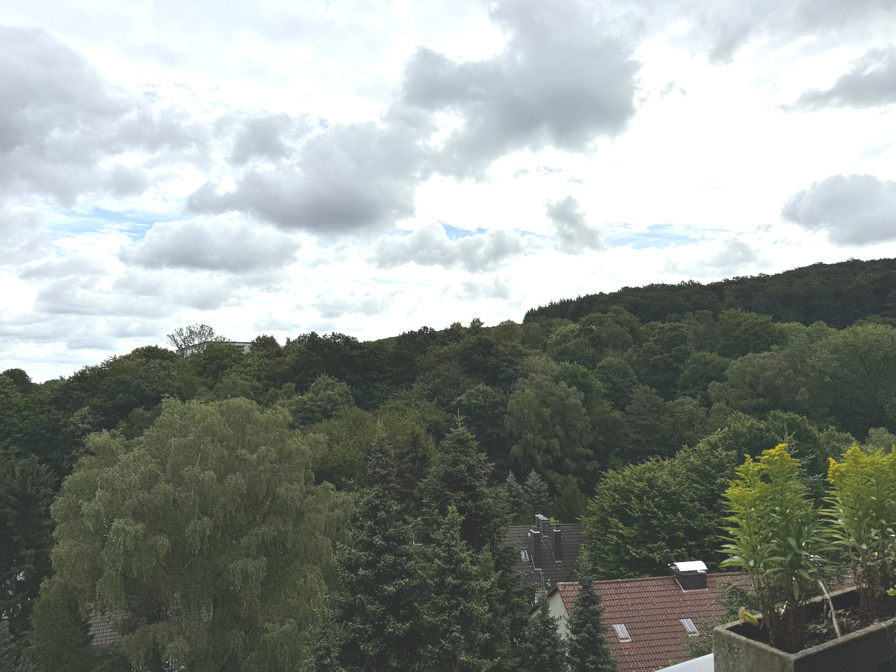 Blick Rückseite