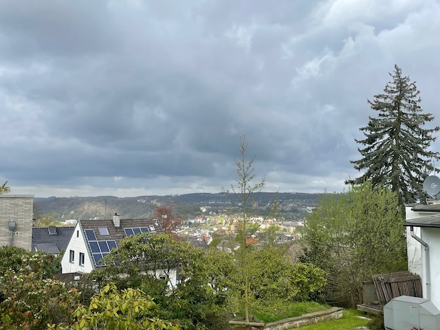 Blick